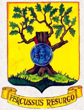 308th Bm Grp Insignia